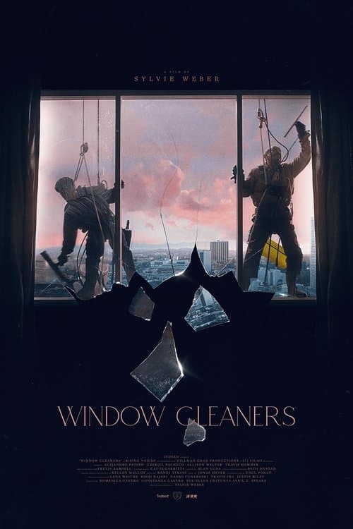 Window Cleaners