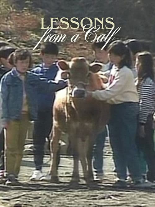 Lessons from a Calf