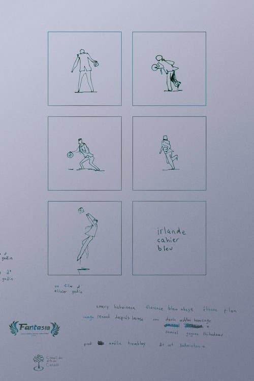 irlande cahier bleu