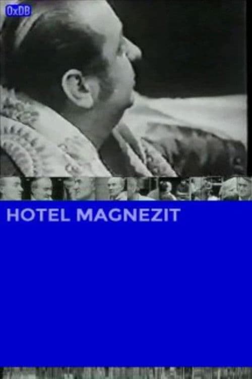 Hotel Magnezit