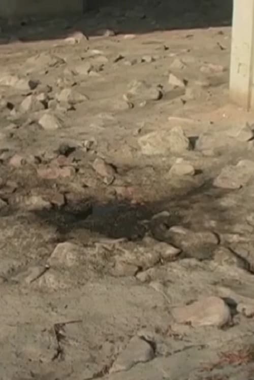 2005.1 Sandy River Water