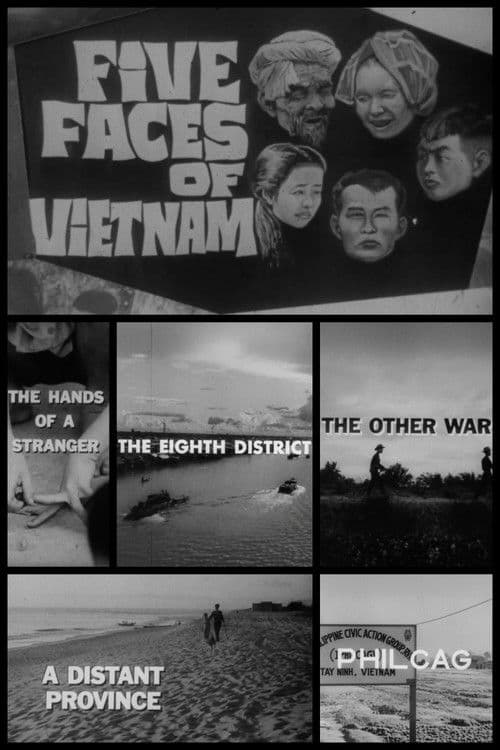Five Faces of Vietnam