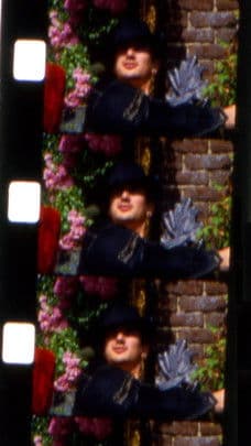 Les jardins de la Barrueca