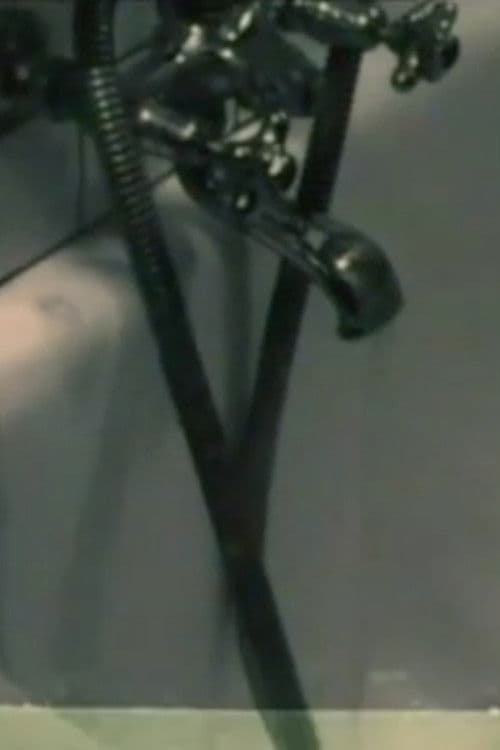 Man & Woman & Animal