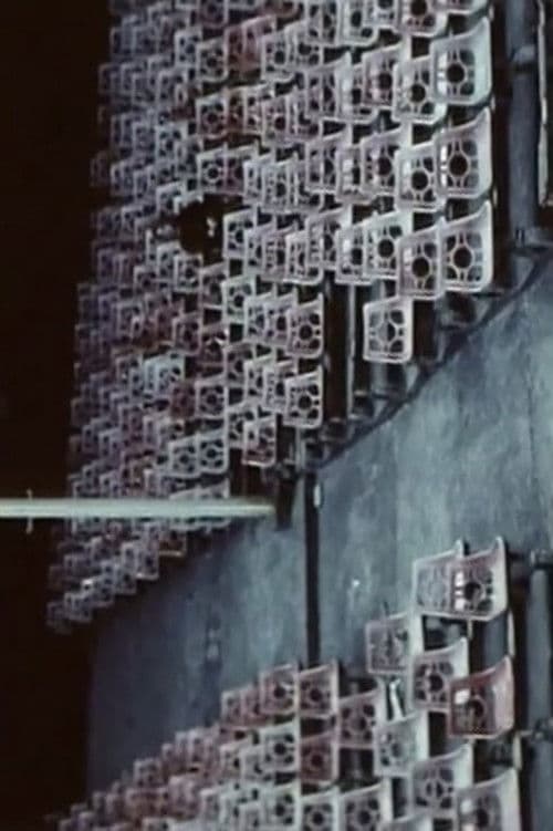 Birthday Celebration, or a Silent Balkan Story