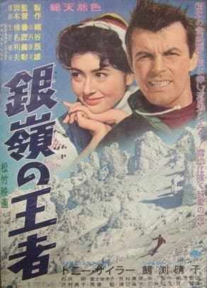 Storm on the Silvery Peaks