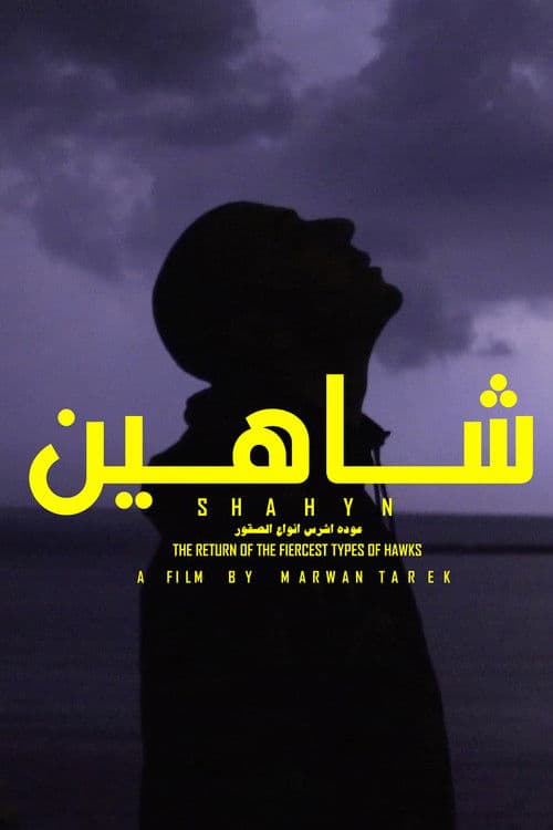 SHAHYN - THE RETURN OF THE FIERCEST TYPES OF HAWKS