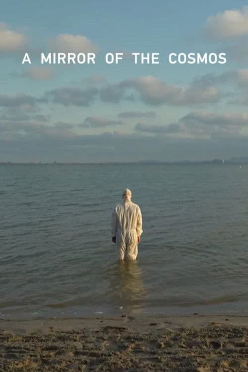 A Mirror of the Cosmos