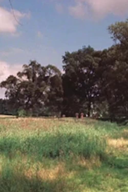 Practical Tips for Butterfly Collectors