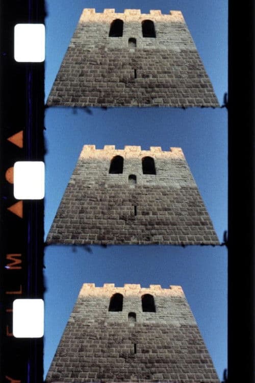 Cinq films d’août