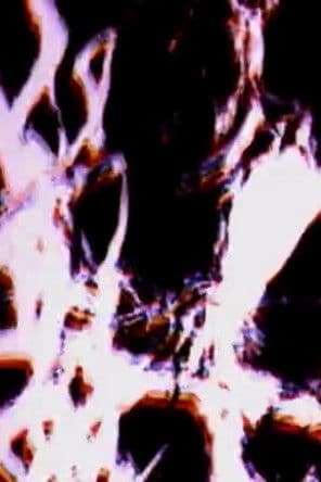 Tasmanian Splintering