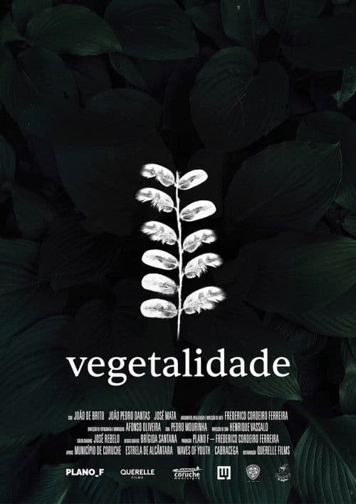 Vegetalidade