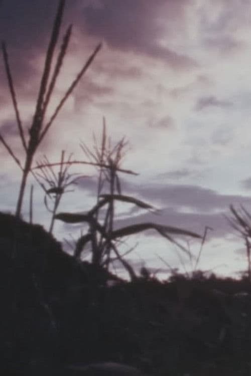 Eat a lot of Cabbage