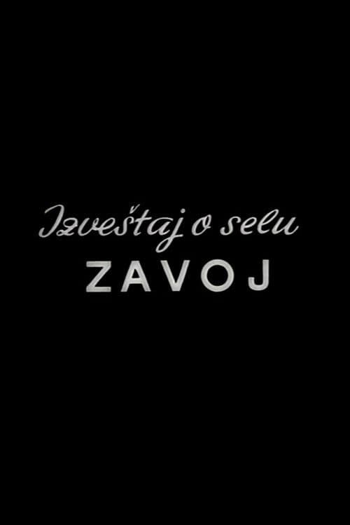 Report from the Zavoj Village