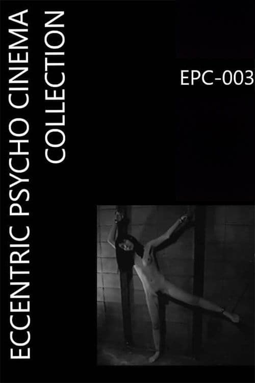 Female Body Collection: Stewardess Risa