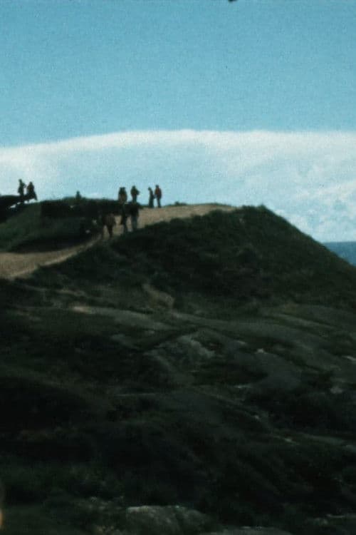 Antti Peippo – The Tourist