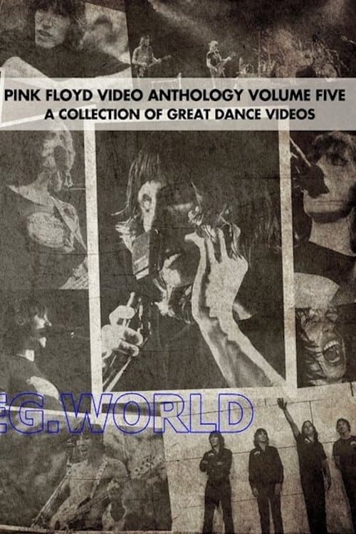 Pink Floyd: Video Anthology Vol. 5