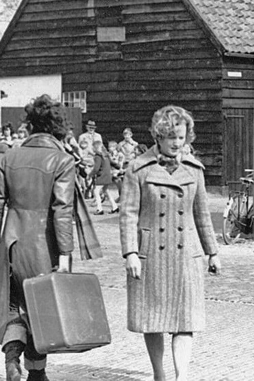 Groeten uit Zonnemaire