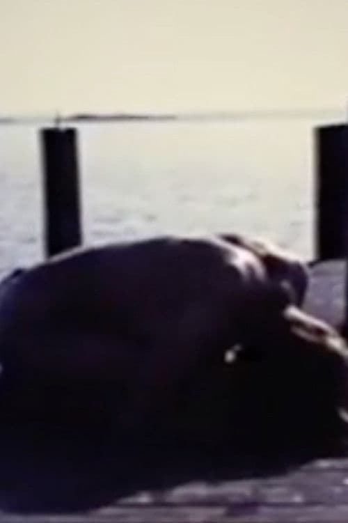 Homage To Edvard Munch And All My Dead Children