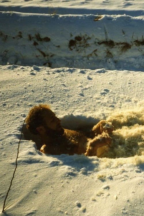 Aug in Aug – voll toten Lichts: Disteln für die Droste