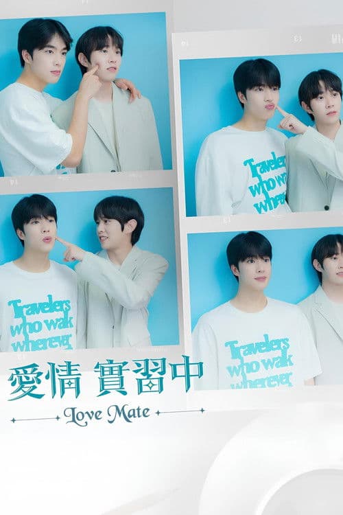 爱情伴侣:电影版