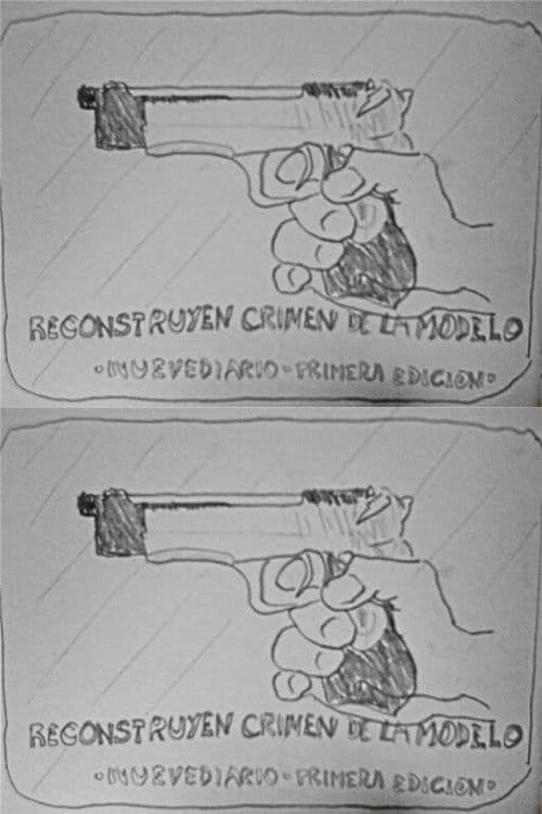 Reconstruyen crimen de la modelo