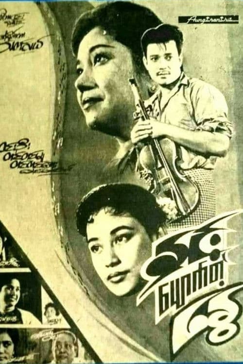 When Snow Fades in Summer