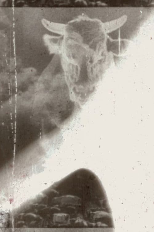 L'ancien et le nouveau (effacé)