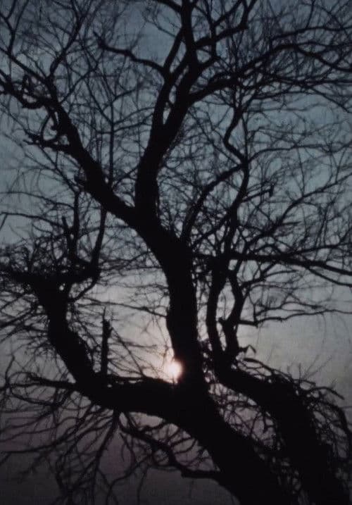 Street Film Part VII