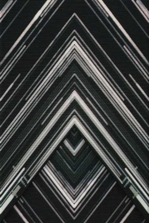 SAKANAQUARIUM 2015-2016 "NF Records launch tour" -LIVE at NIPPON BUDOKAN 2015.10.27-