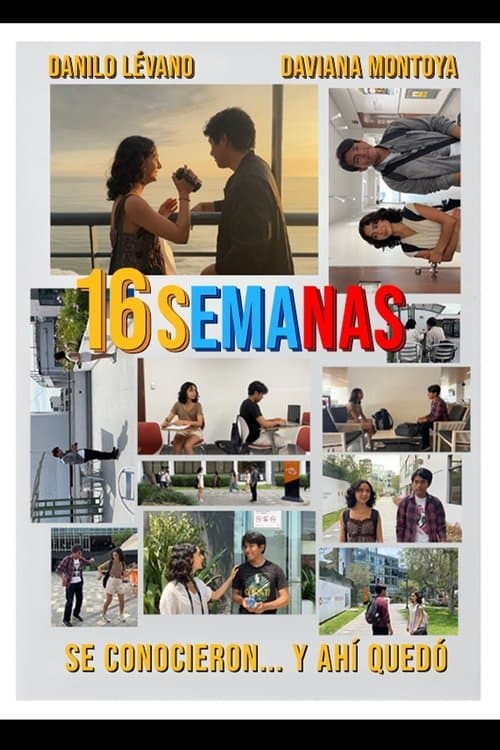 16 semanas