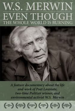 Even Though the Whole World Is Burning