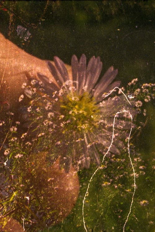 the ground is bleeding light (indemini – sant’abbondio)