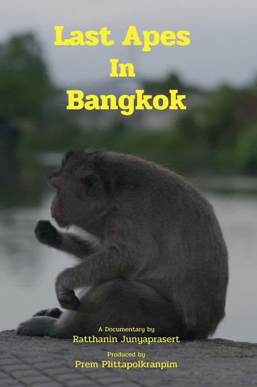 Last Apes In Bangkok