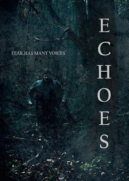 Echoes