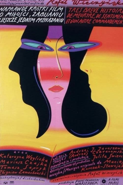 A Really Short Story about Love, Killing and Still Another Feeling