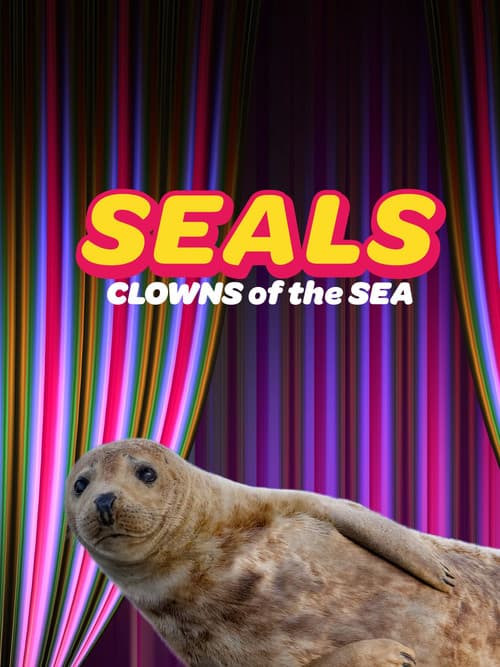 Seals - Clowns of the Sea