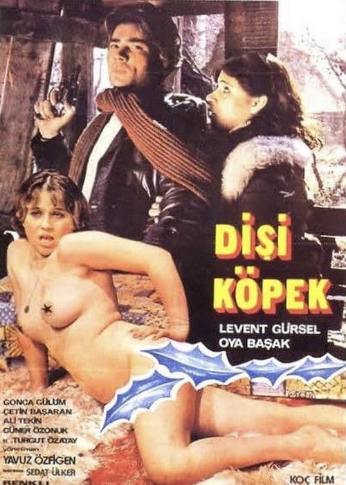 Dişi Köpek