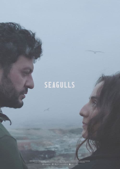 Seagulls