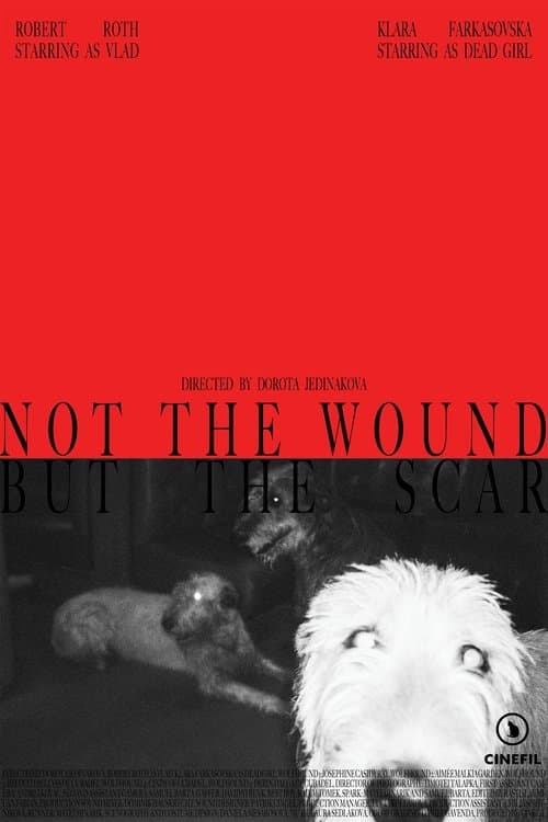Not the Wound but the Scar
