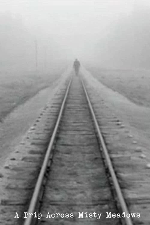 A Trip Across Misty Meadows