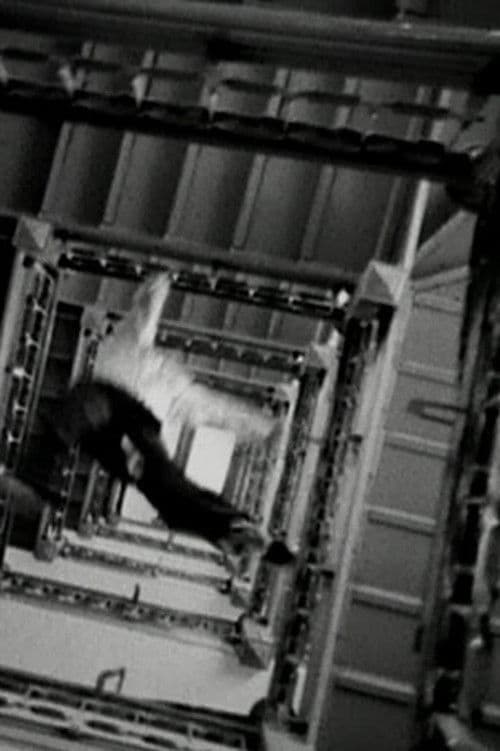 Seven Days 'Til Sunday