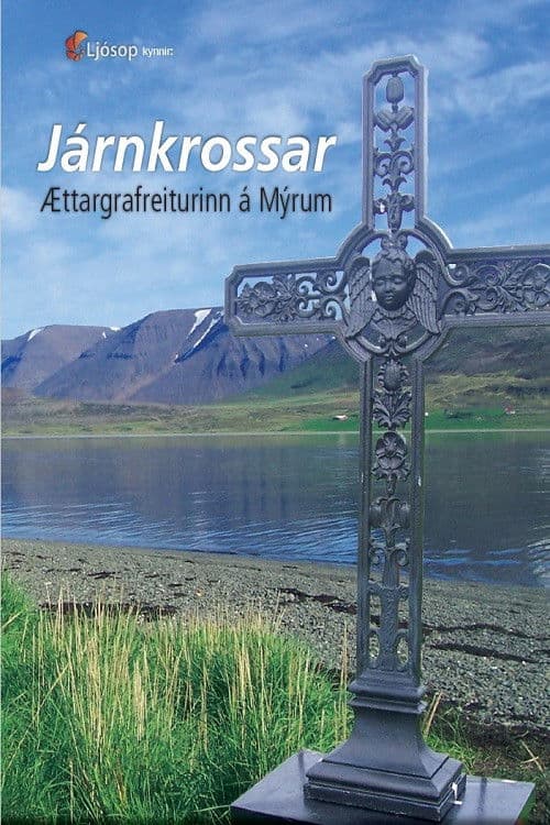 The Iron Cross at Mýrar Cemetery