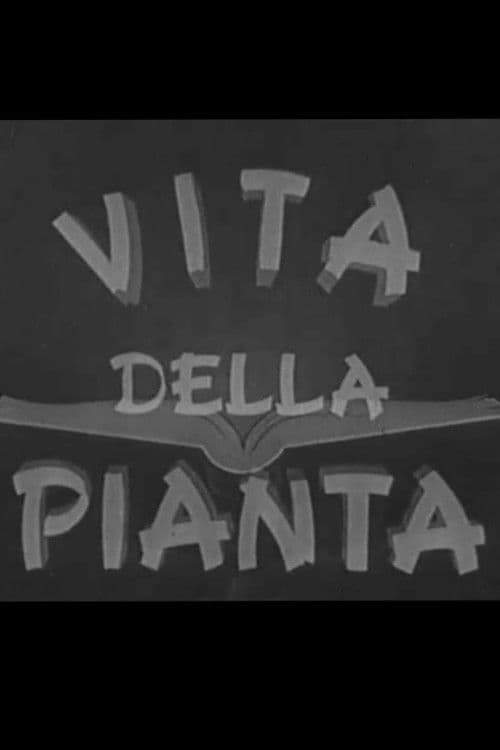 Vita della pianta