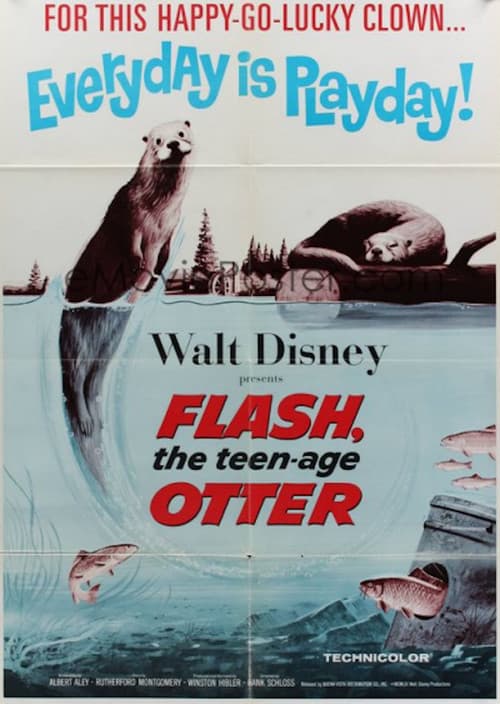 Flash, The Teenage Otter
