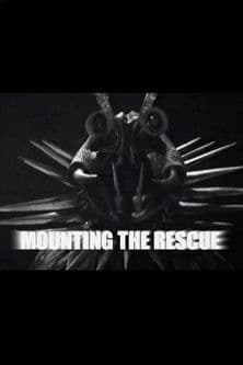Mounting the Rescue
