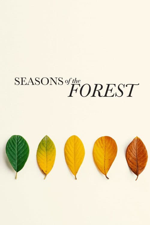 Seasons of the Forest