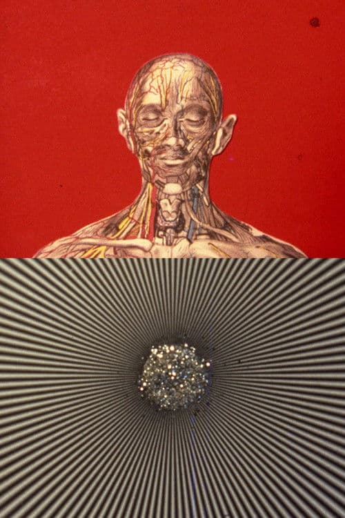 El mensaje es facial