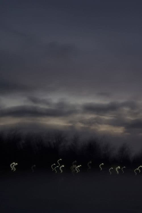 i heard the geese cry