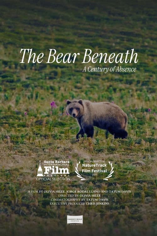 The Bear Beneath